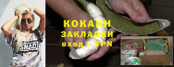 индика Инта