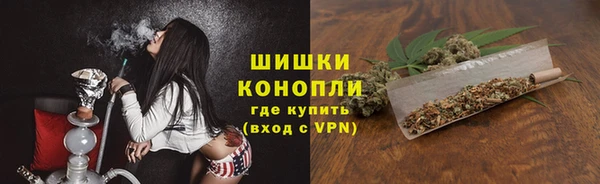 индика Инта