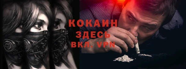 индика Инта