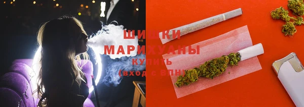 индика Инта