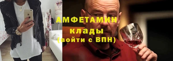 индика Инта