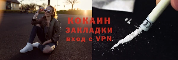 индика Инта