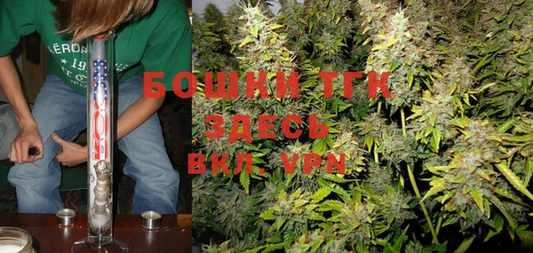 индика Инта
