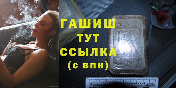 индика Инта