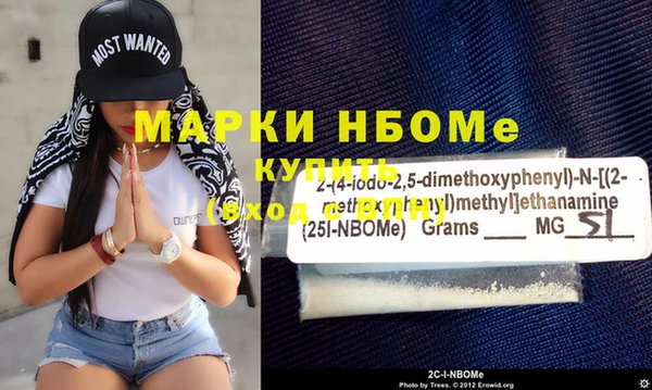 индика Инта