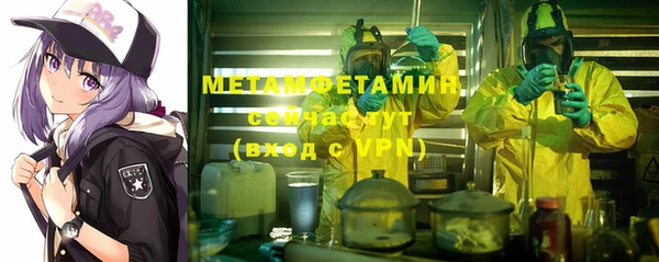 индика Инта