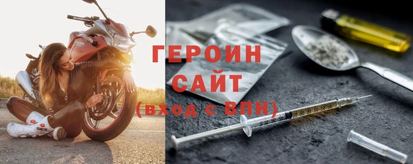 индика Инта