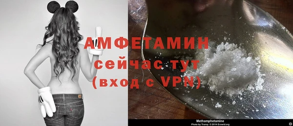 индика Инта