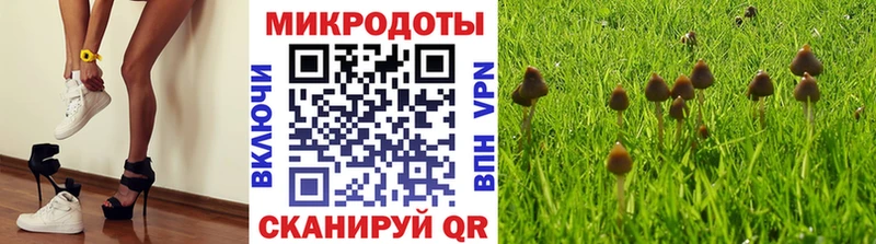 Галлюциногенные грибы MAGIC MUSHROOMS  Купить закладки  Губкин 