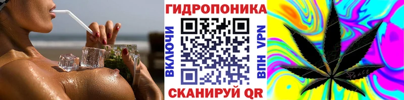 Конопля SATIVA & INDICA  Купить закладки  Губкин 